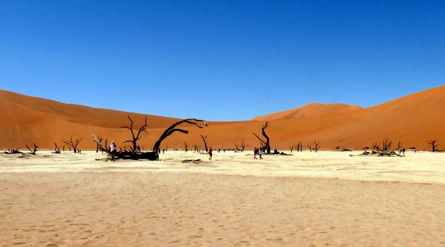 Namibia Namib Desert banner